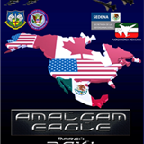 Amalgam Eagle Exercise