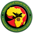 Association of African Air Forces (AAAF) 
