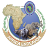 Interconnecting Africa Through Communications Interoperability